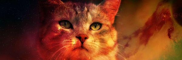 breadchris Profile Banner