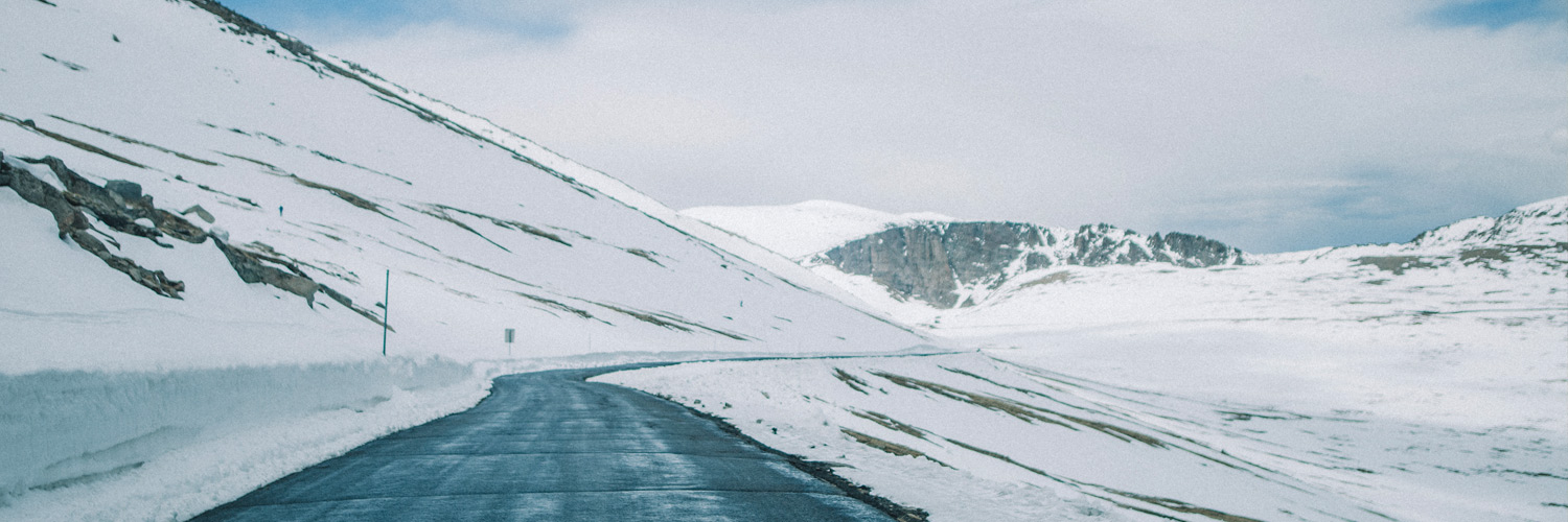 whalebonemag's profile banner image