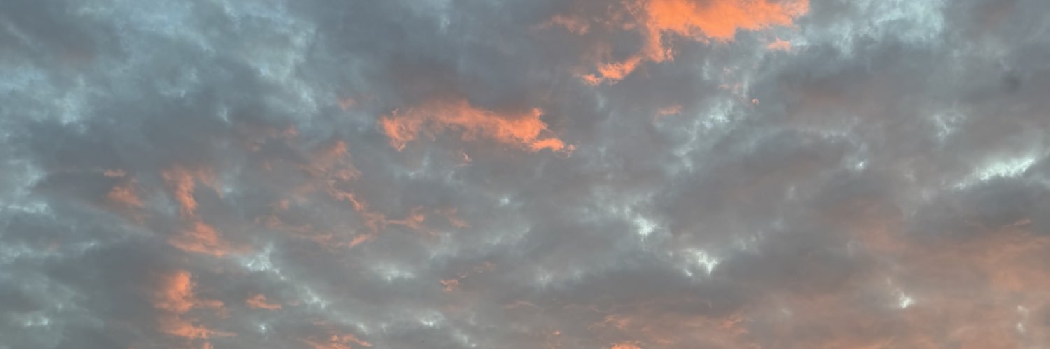 marrow_jp's profile banner image