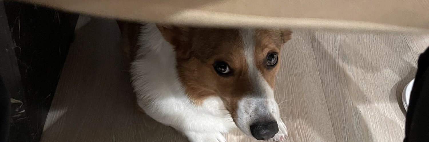 Janooppoop's profile banner image