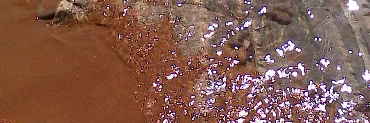 Bluegdr_'s profile banner image