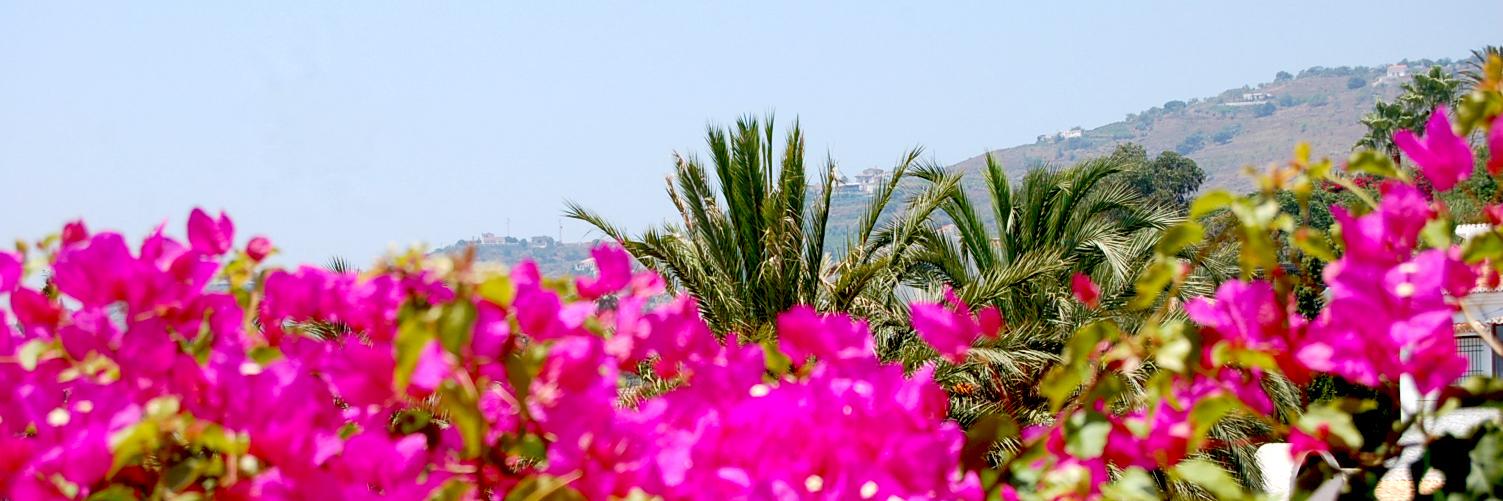 CasaRenaissance's profile banner image