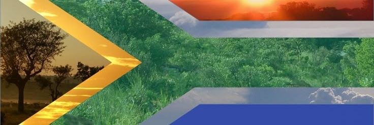 lanilantern2's profile banner image