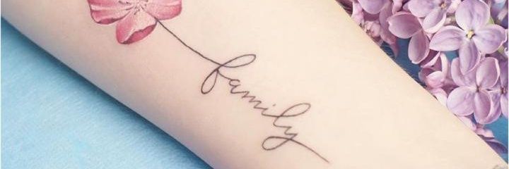 edmildred's profile banner image