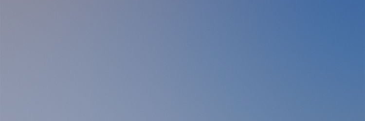 Mariana Pedroso banner