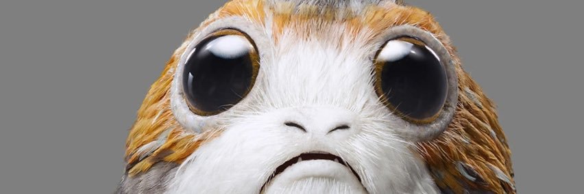 rexarilp's profile banner image