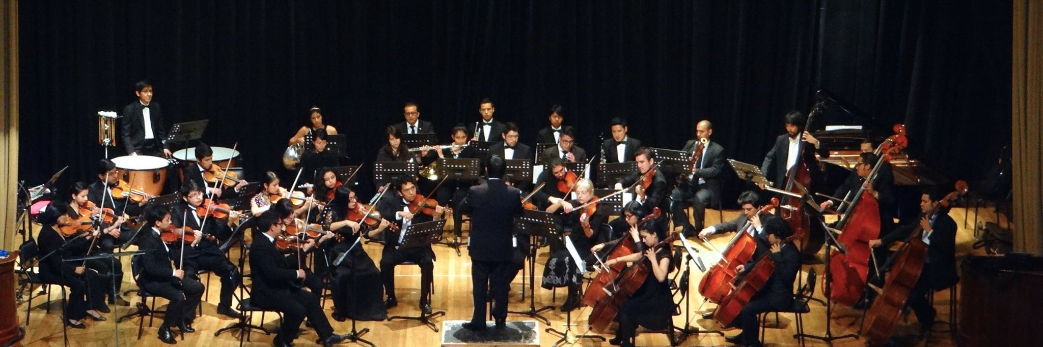 sinfoucuenca's profile banner image