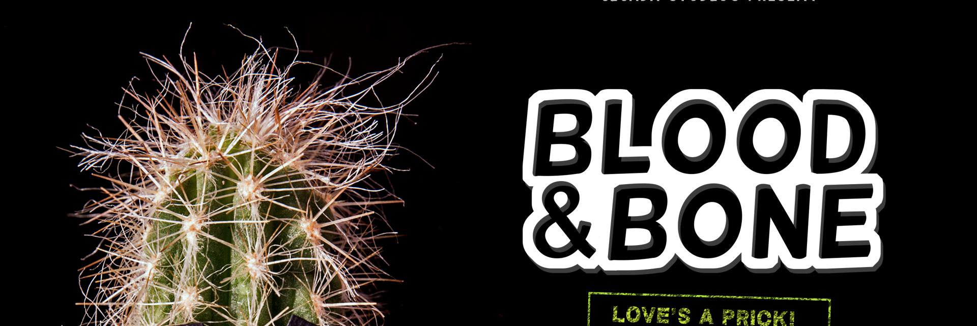 Cicada_Studios's profile banner image