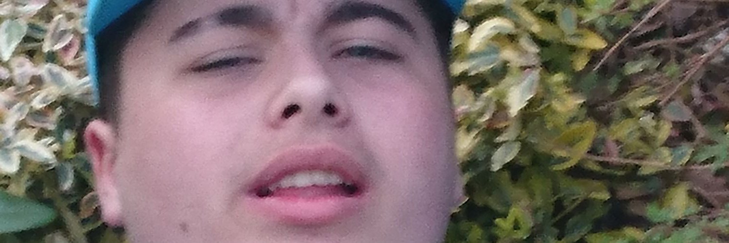 Majestic_Humous's profile banner image
