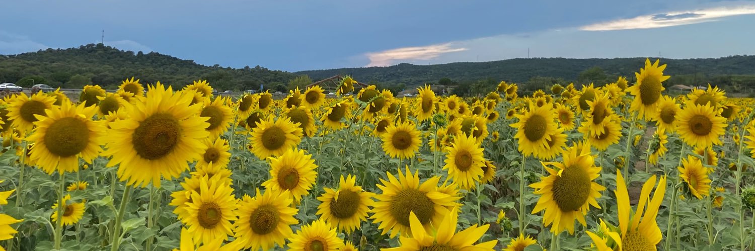 ir__zu's profile banner image