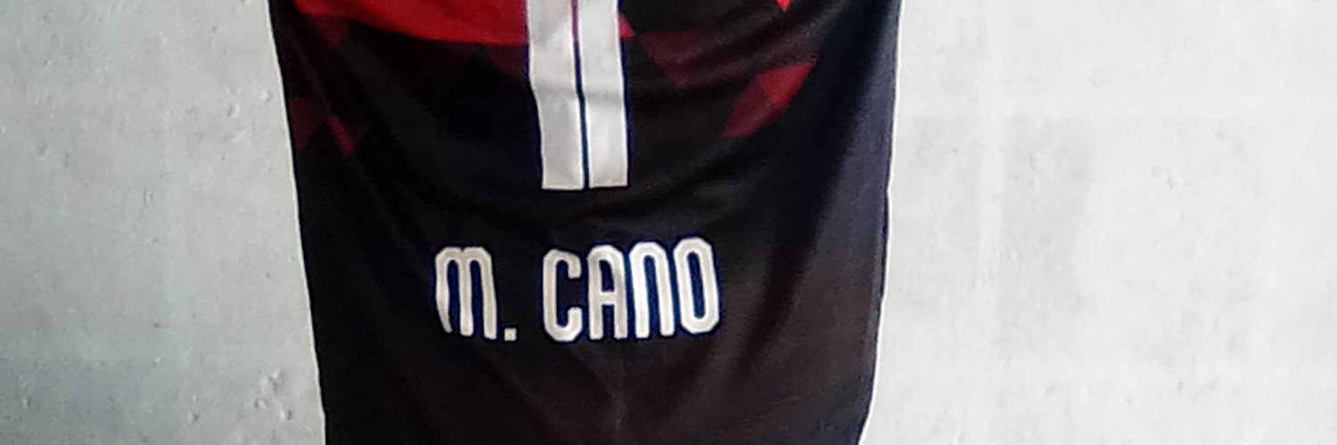 neriocano's profile banner image