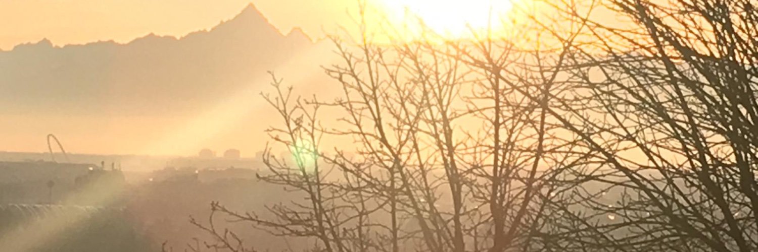 reitjevos's profile banner image