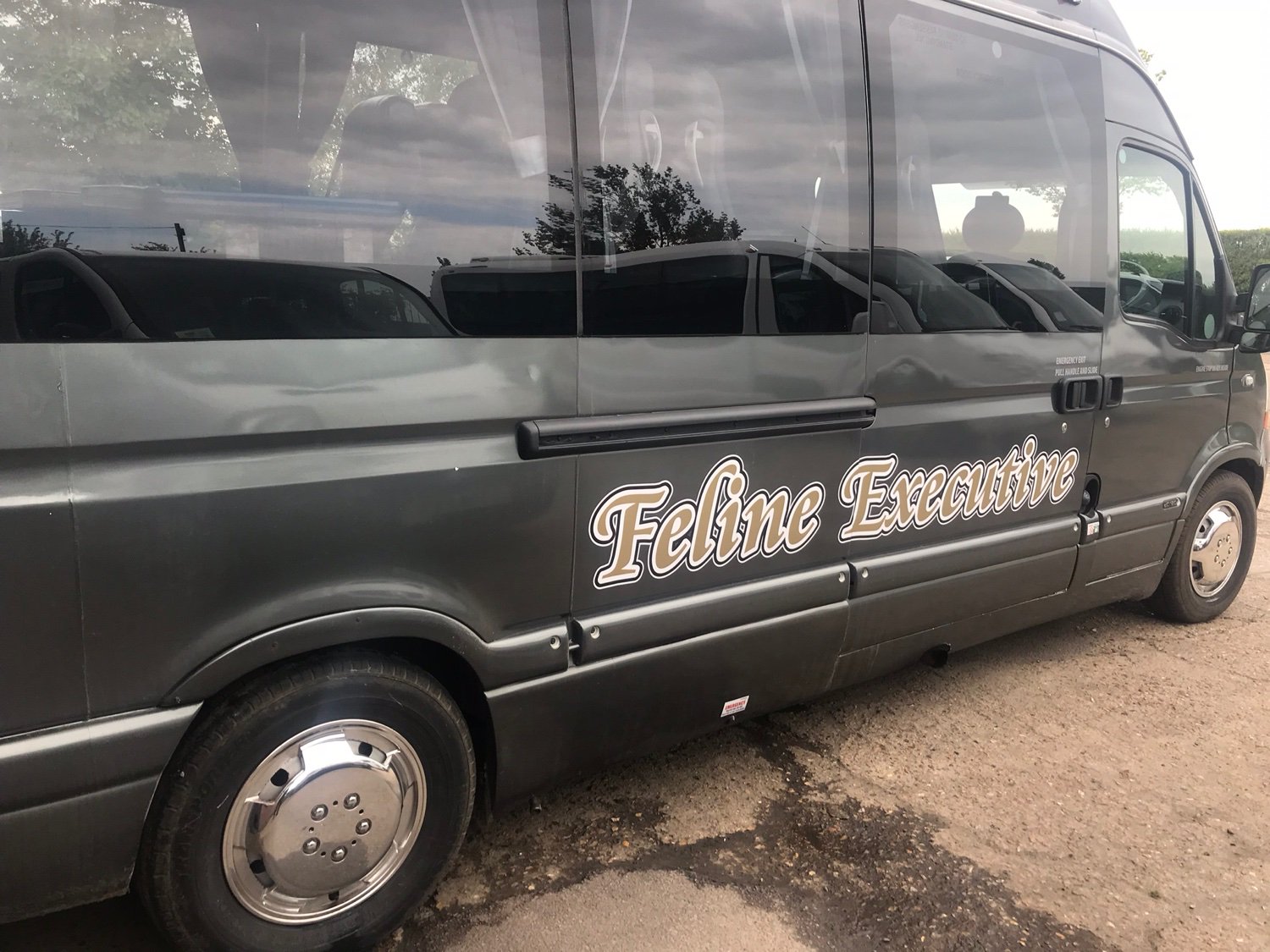 FelineExecutive's profile banner image