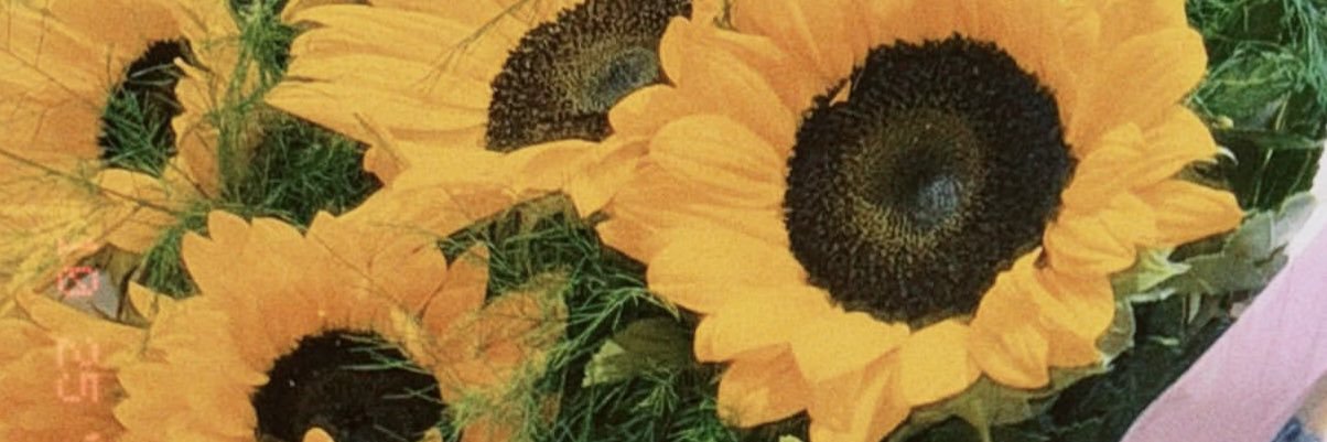 ezolizo's profile banner image