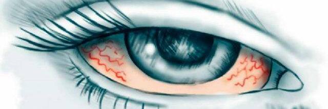 HAQC6's profile banner image