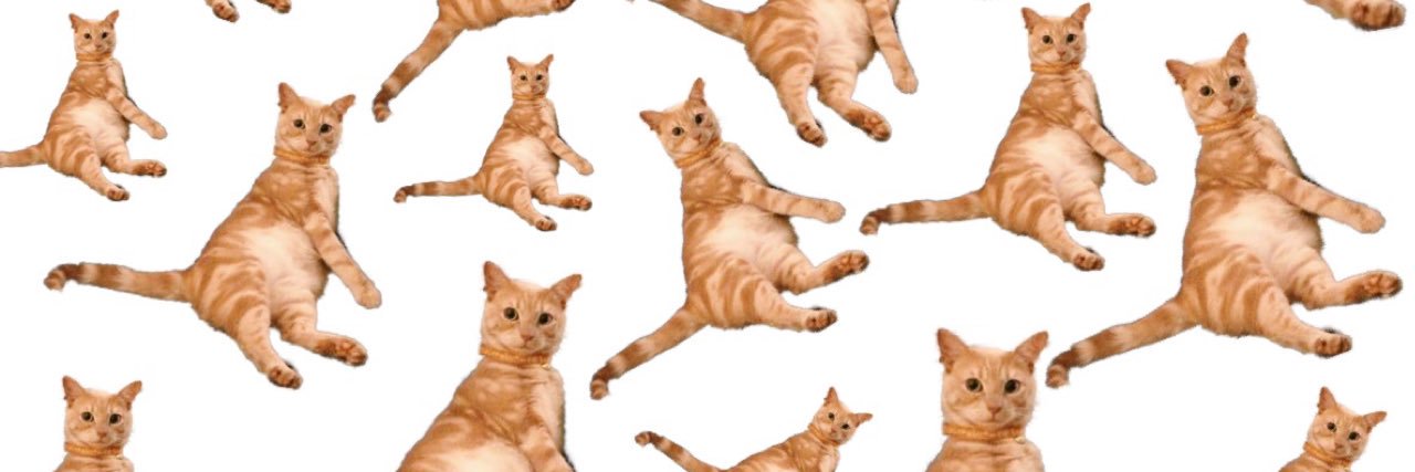 laurnyoung's profile banner image