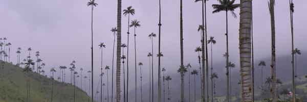 SurfTheShift Profile Banner