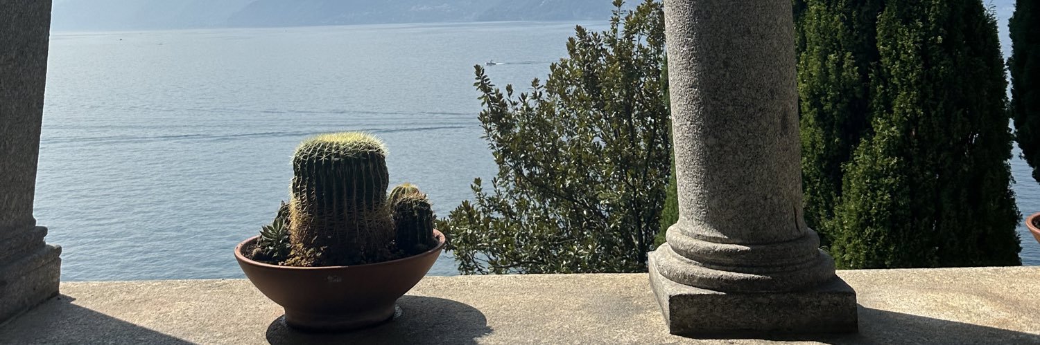 leaolive_'s profile banner image