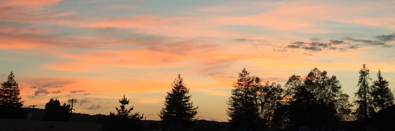steph_silva_'s profile banner image