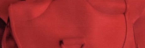 SHAM banner