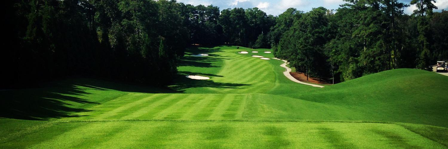 EricDavisGolf's profile banner image