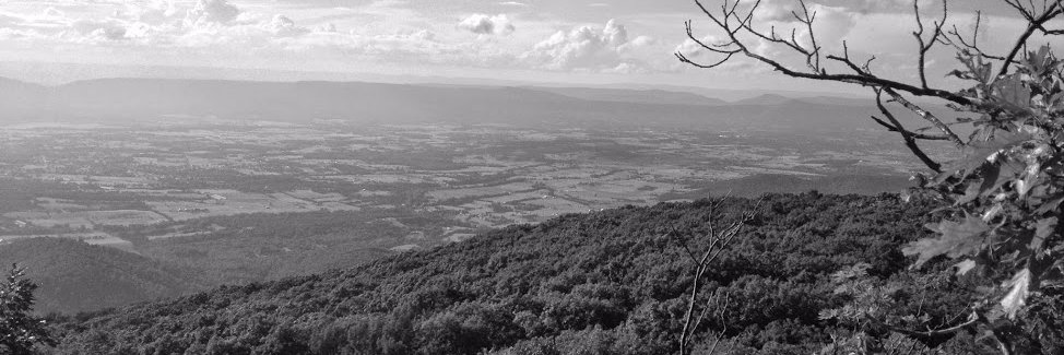 TeamDanielsVA's profile banner image