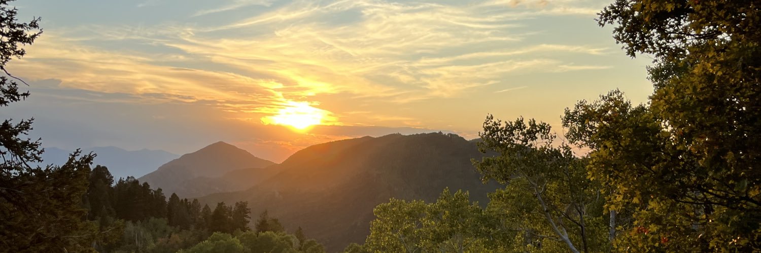 maxhoole's profile banner image