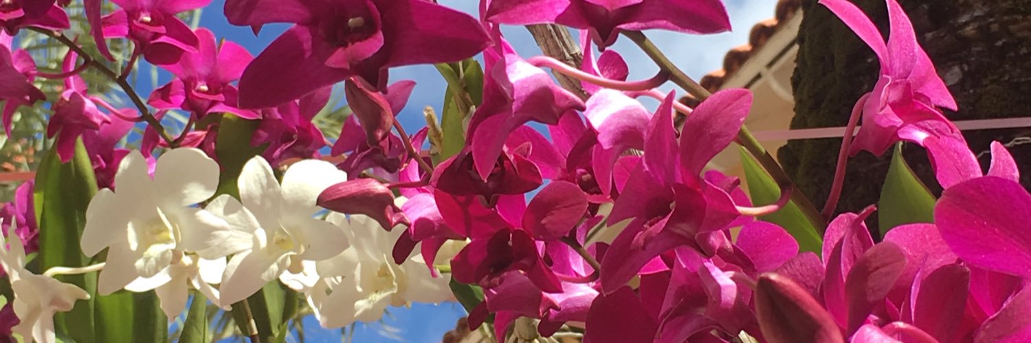 Comaltdel's profile banner image