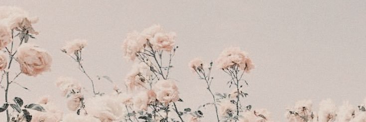 mavezhy's profile banner image