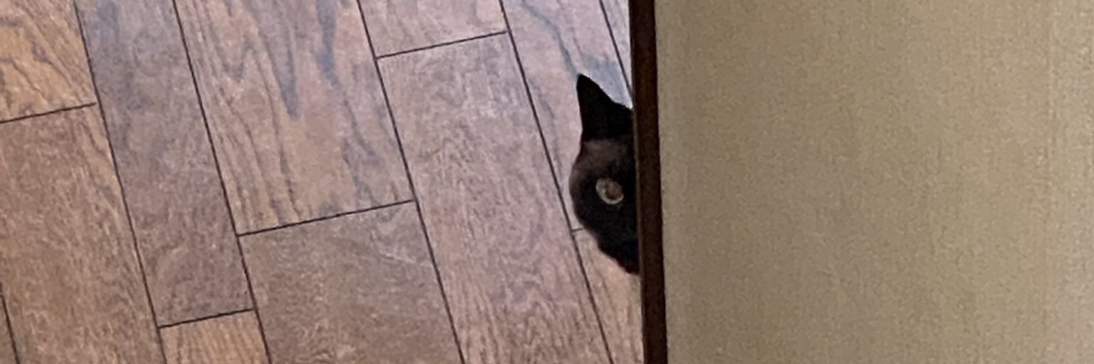 チルト_療養中 banner