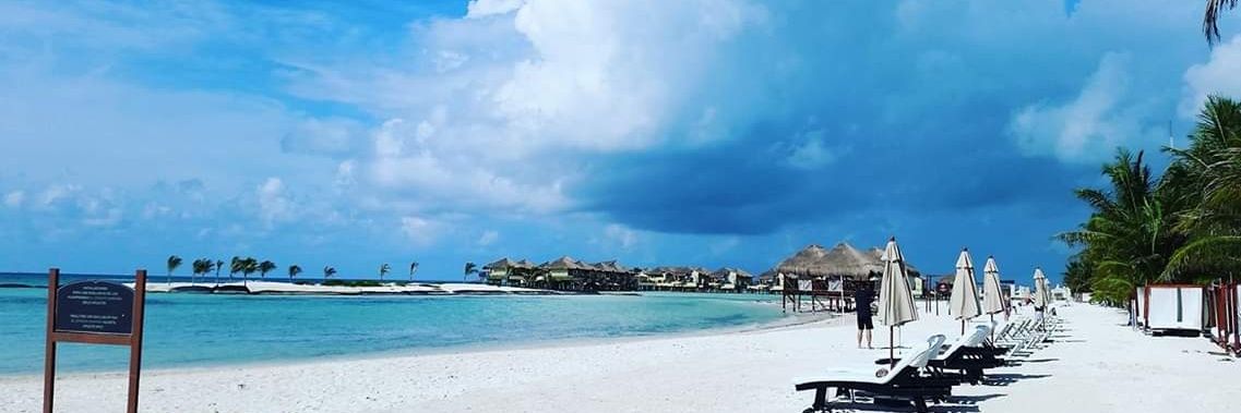 Danielle Gaitan (Higgins) banner