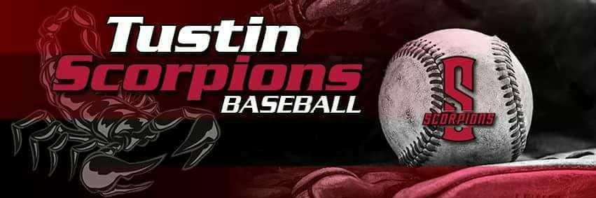 Scorpion Baseball banner