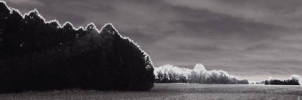 mere_pseud Profile Banner