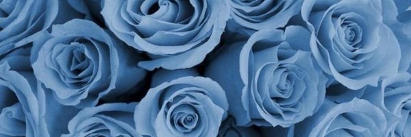 chloegracejoy Profile Banner