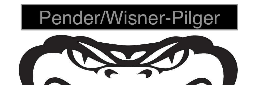 NEN Vipers Softball banner