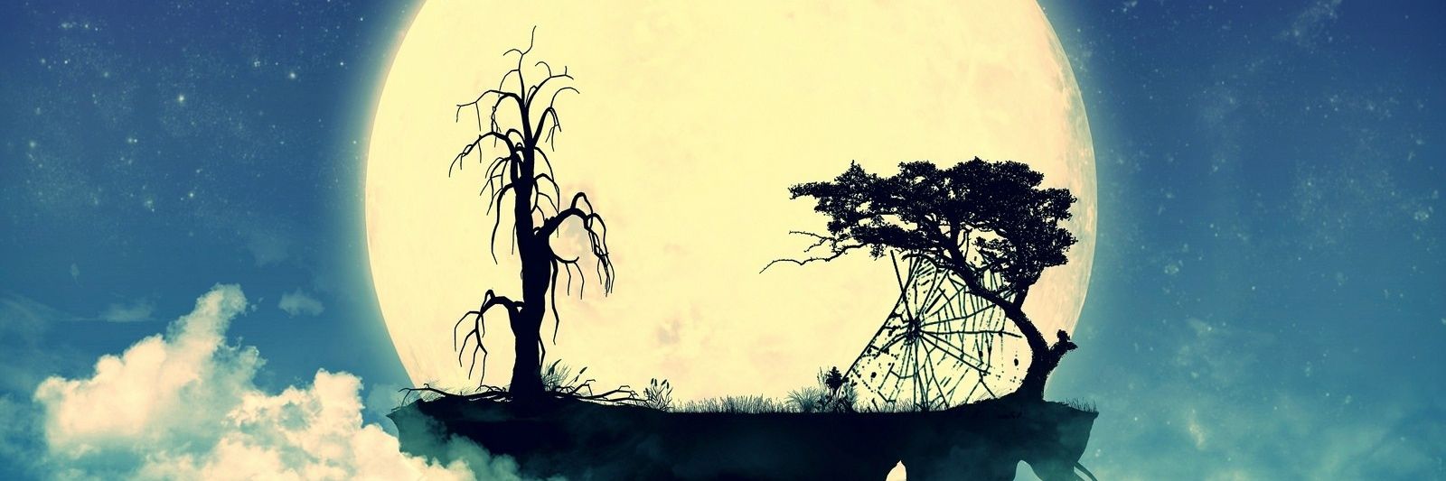 MustakimShovon's profile banner image