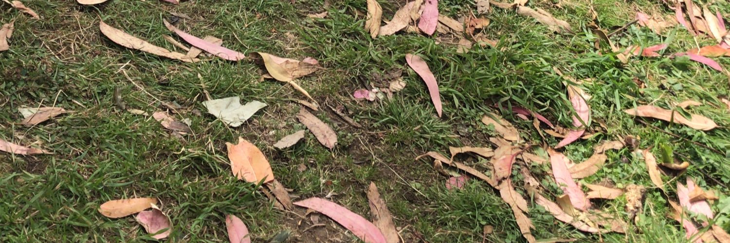 SoL_SoL23's profile banner image