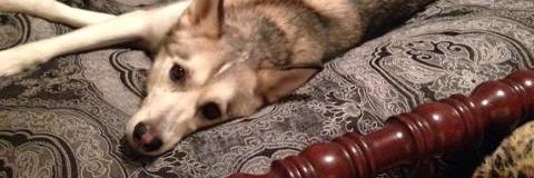 PrincessLexus1's profile banner image