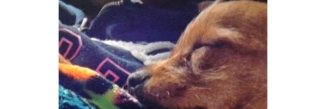 Cbell202's profile banner image