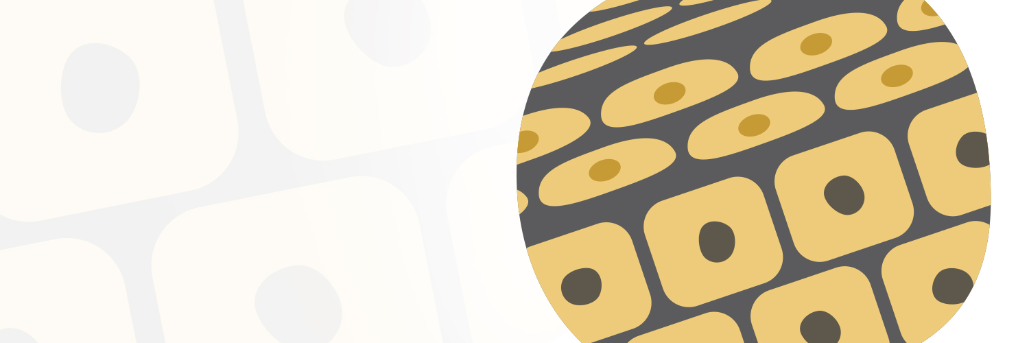 Dermal Cell News's banner