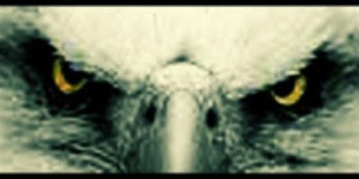 dayatmetalhead's profile banner image