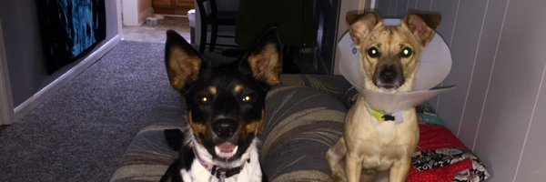 _cport Profile Banner