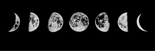 shawnblame's profile banner image