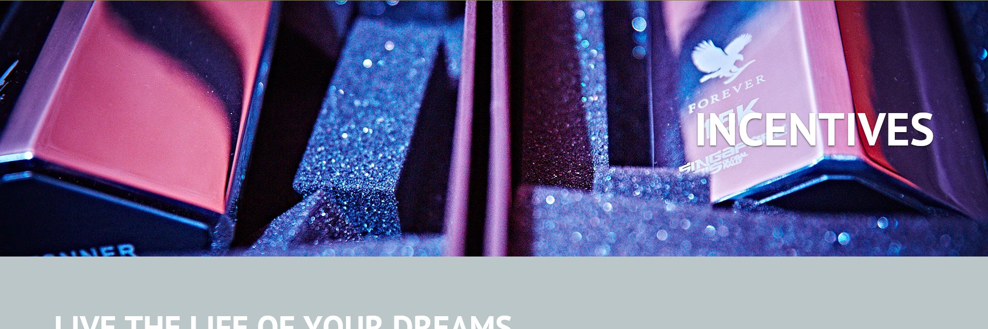 Freedom2Earn's profile banner image