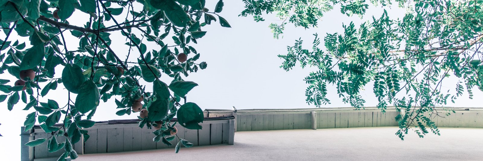 Osman Kalkavan banner