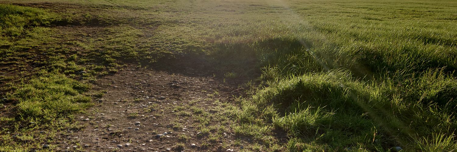 peetvince's profile banner image