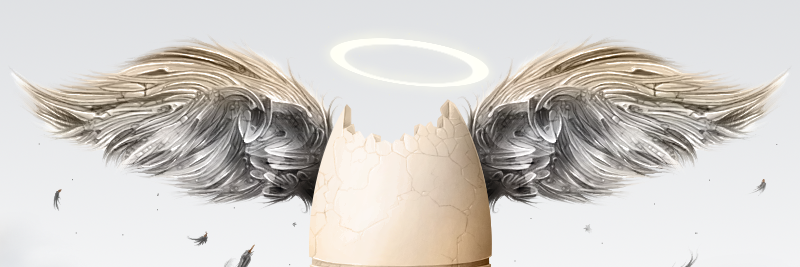 Eggs911's profile banner image