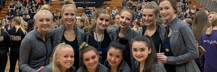 WNFalconettes's profile banner image