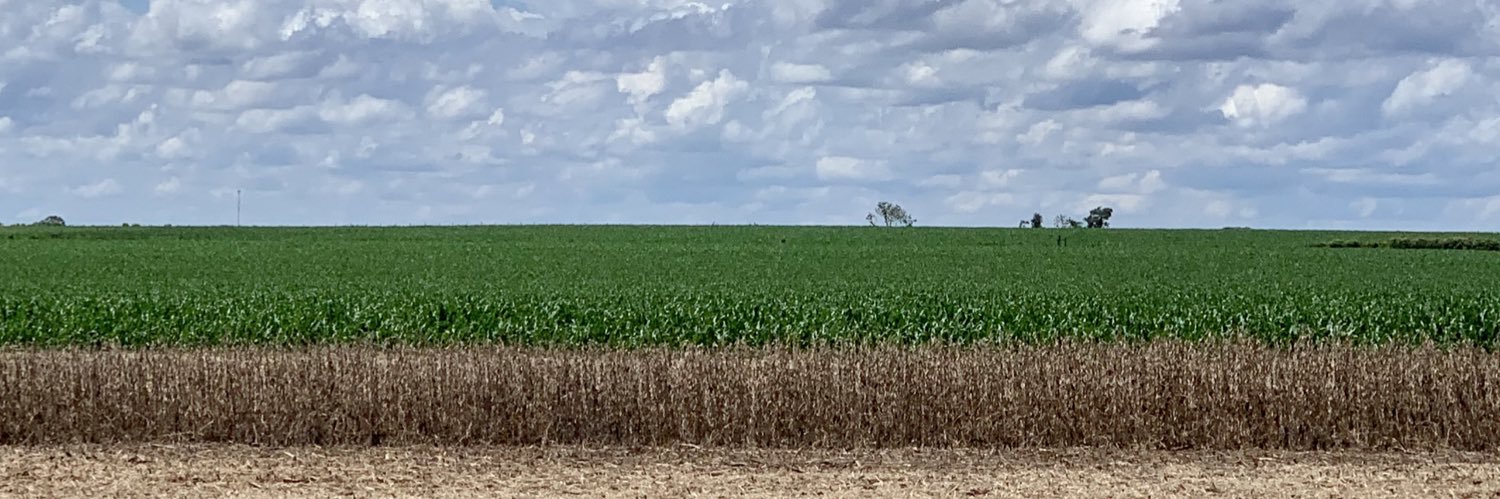 marcebarretos's profile banner image