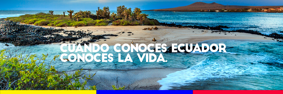 Ecuador banner